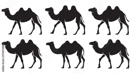 Silhouetted Camel Herd Walking Across Desert