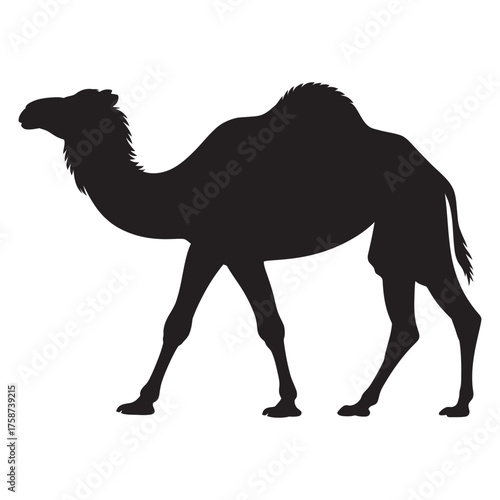 Black Silhouette of a Single Hump Dromedary Camel