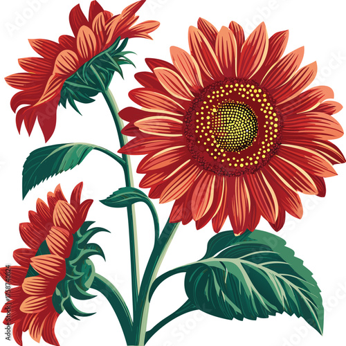Vibrant red sunflowers in full bloom with green stems and leaves
