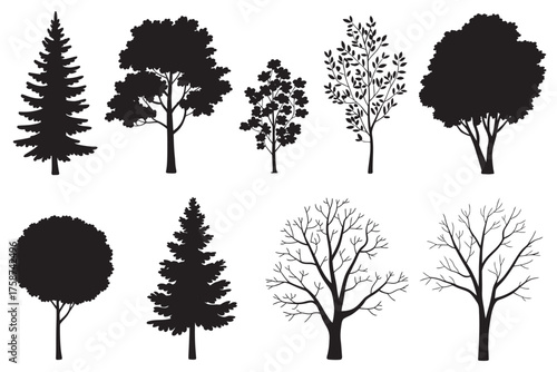 Extensive Collection of Black Silhouette Trees Diverse Foliage and Bare Branch Designs