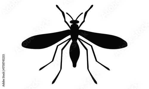 mosquito silhouette vector, mosquito insect black silhouette vector