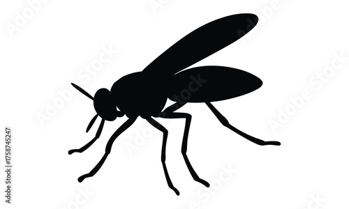 mosquito silhouette vector, mosquito insect black silhouette vector