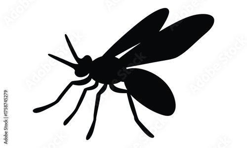 mosquito silhouette vector, mosquito insect black silhouette vector