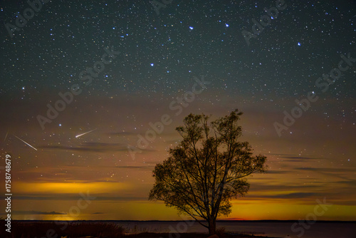A lone tree silhouetted against a colorful twilight sky filled with stars and meteor streaks above a calm lake horizon.
