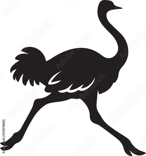 Ostrich Silhouette Vector | Black Flightless Bird Illustration on White Background