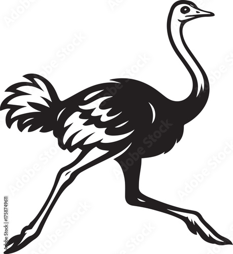 Ostrich Silhouette Vector | Black Flightless Bird Illustration on White Background