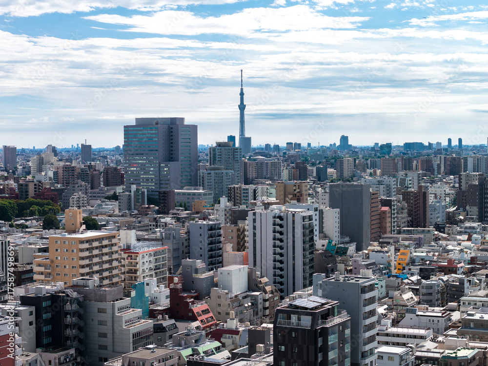 Obraz premium Tokyo cityscape with Tokyo Skytree amid dense mid rise blocks