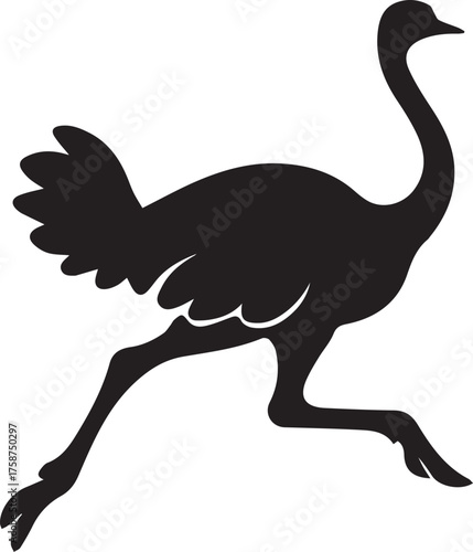 Ostrich Silhouette Vector | Black Flightless Bird Illustration on White Background