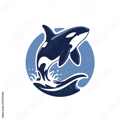 Dynamic Orca Killer Whale Jumping Out of Water Illustration with Splash, Marine Animal Design Element, Ocean Life Vector Art