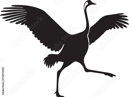 Ostrich Silhouette Vector | Black Flightless Bird Illustration on White Background