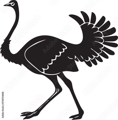 Ostrich Silhouette Vector | Black Flightless Bird Illustration on White Background