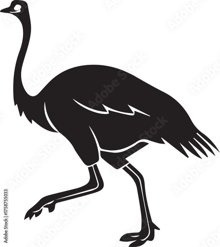 Ostrich Silhouette Vector | Black Flightless Bird Illustration on White Background
