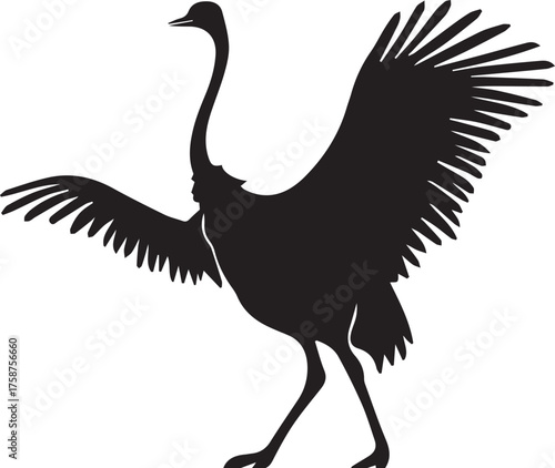 Ostrich Silhouette Vector | Black Flightless Bird Illustration on White Background