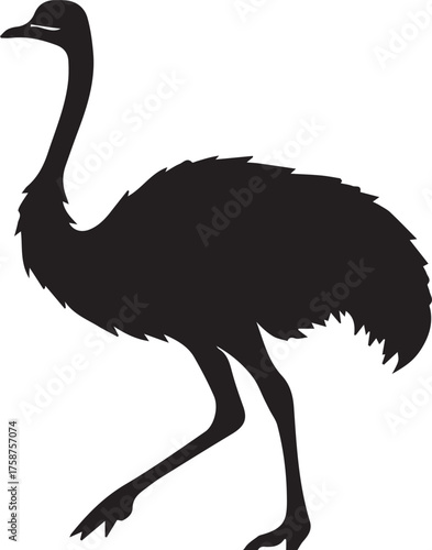 Ostrich Silhouette Vector | Black Flightless Bird Illustration on White Background