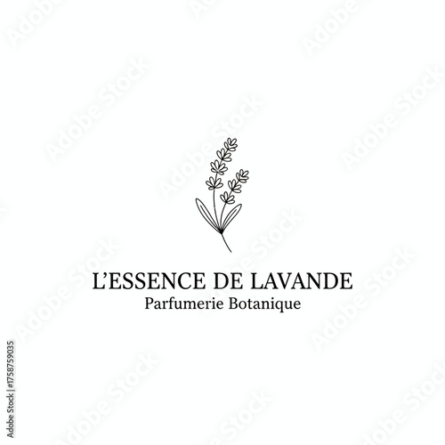 Minimalist logo design with a sprig of a plant and text below, centered on a white background