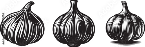 Stylized Garlic Bulb Silhouette 