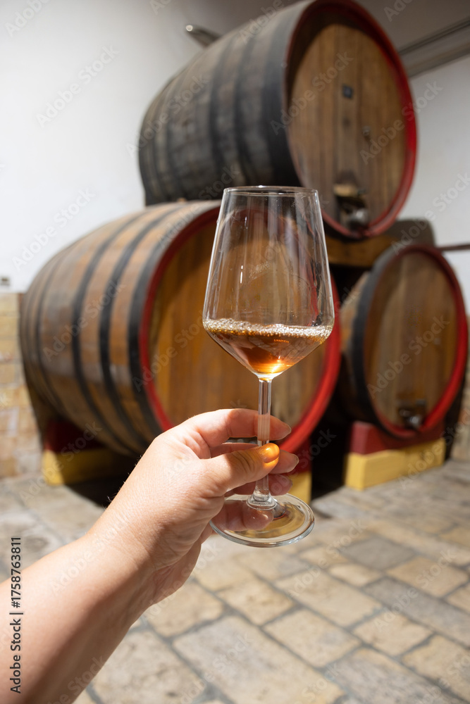Obraz premium Visit of wine cellar with old large oak barrels, glass of fortified dry or sweet tasty marsala wine from barrels in Marsala, Sicily, Italy
