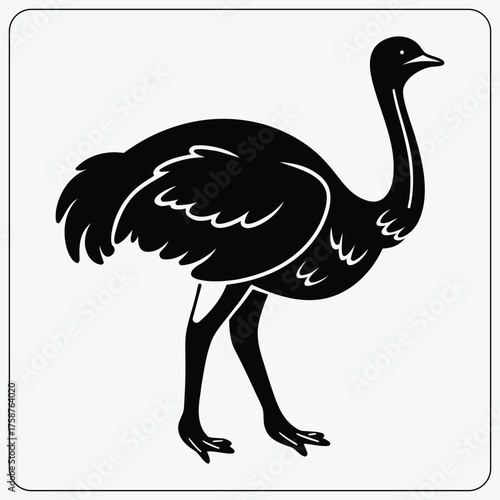 Stylized ostrich illustration. Black and white flightless bird graphic. Vector symbol for a zoo, safari, or wildlife logo.