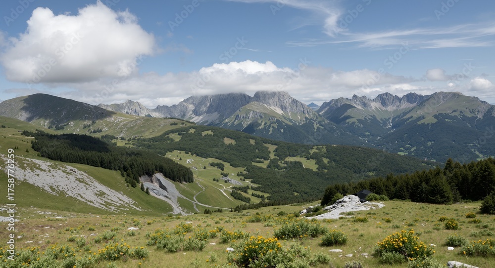Naklejka premium view of the alps