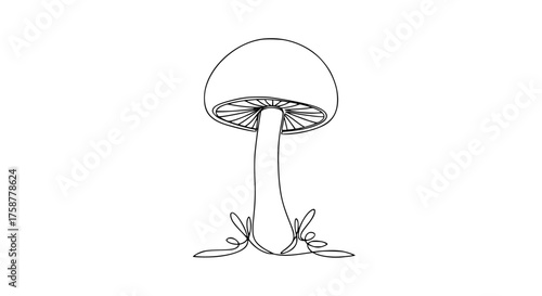 Minimalist single line art of a solitary mushroom with rounded cap and slender stem
