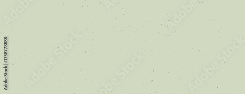 A minimalist background, pale green background with subtle speckled texture. The background is soft and calming, featuring green twice. Minimal grainy speckled texture background vector
