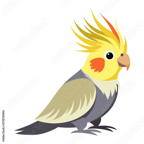 Illustration of a yellow cockatiel pet bird with orange cheek patches and gray feathers design