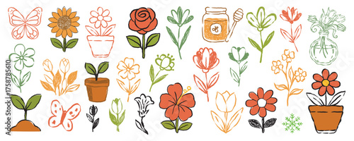 Hand drown collectionspring colorful flower elements vector set.Floral wildflower leaf branch background.