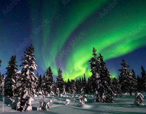 Night sky lit by vibrant green auroras above a snow-covered forest