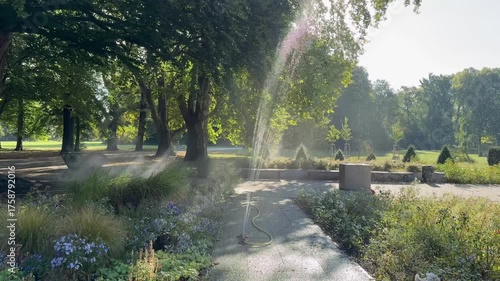 A garden pathway being watered with a hose, sunlight filtering through trees and mist creating a soft rainbow effect in a peaceful park