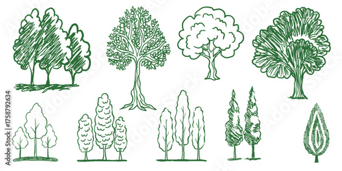 Japanese hand drown bonsai tree sian doodles setv. Bonsai collection asia culture symbols. Garden traditional plant.