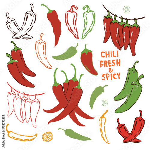 Mexico hand drown doodle seamless pattern celebration background food. Print-chili-spaicy-set.