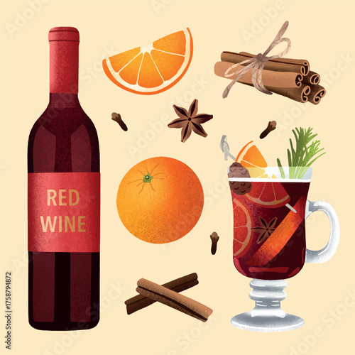 Mulled wine ingredients illustration with spices and citrus.Warm festive drink with red wine, orange, cinnamon, cloves, and anise. Hand-drawn illustration of mulled wine and ingredients for winter