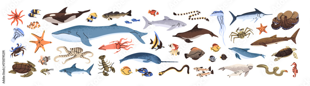 Naklejka premium Set of sea life. Animals of the ocean. Underwater fauna. Undersea wildlife. Different fish, shark, turtle, squid and crab. Seabed creatures. Flat isolated vector illustrations on white background.