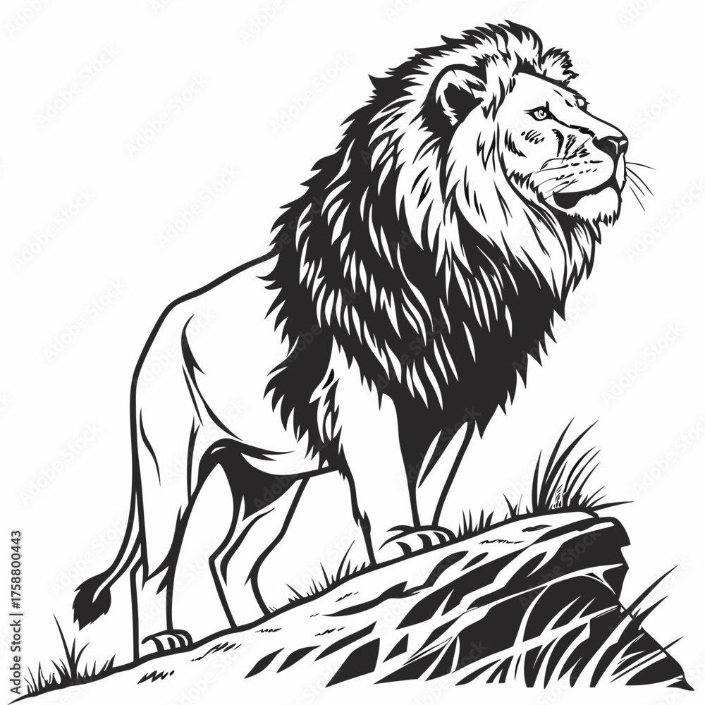 Obraz premium Lion on a white background