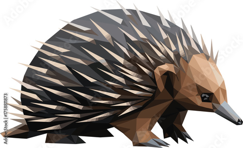 Echidna Low Poly Geometric Animal Vector Illustration