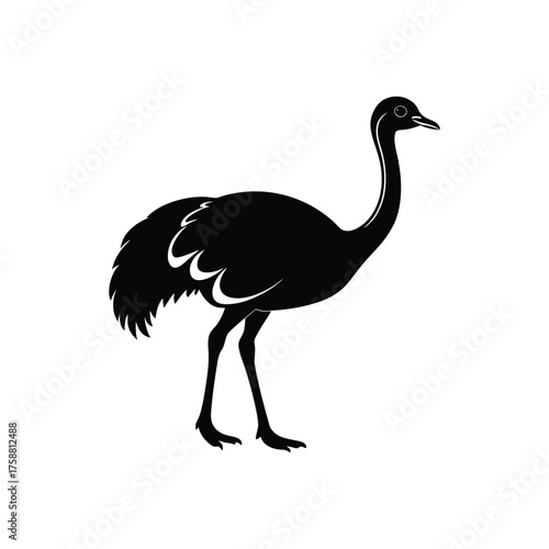 An ostrich silhouette vector art illustration