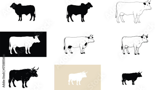 Various cow illustrations in black, white, and outline styles.