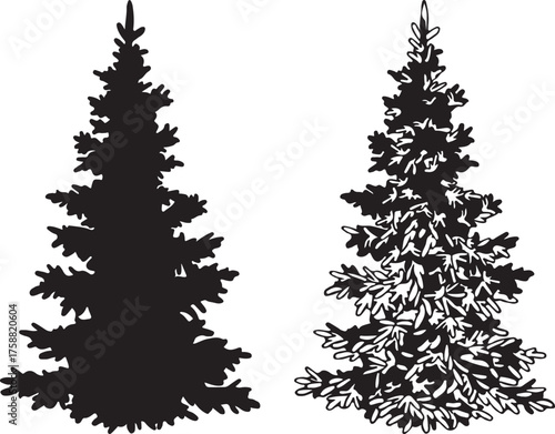 Christmas Tree Silhouette, Contours and. Christmas Spruce Fir Tree Black Silhouette, Contours and Inscriptions Isolated on White Background. Vector
