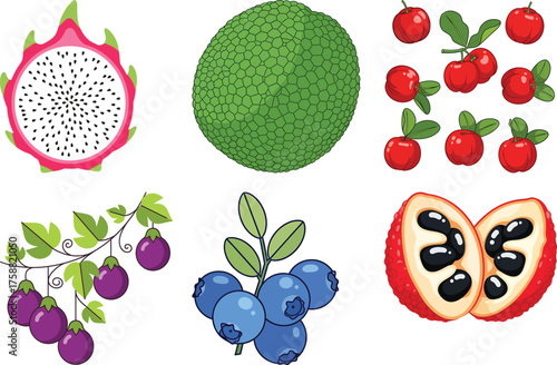 Assortment of colorful tropical fruits and berries on white background dragonfruit breadfruit