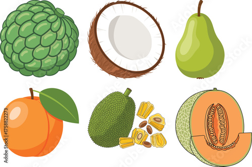 Collection of six diverse fruits including custard apple coconut pear apricot jackfruit and cantaloupe