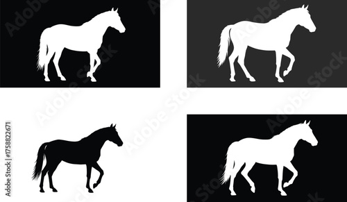 Four distinct silhouettes of a horse in motion against contrasting backgrounds, showcasing its elegant form.