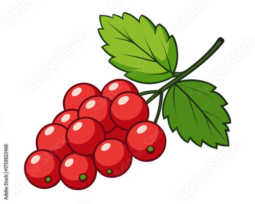 red currant isolated on white