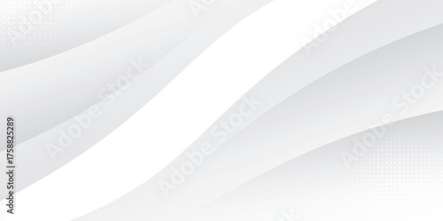 Vector gray line background curve element with white space for text and message design, illustration.