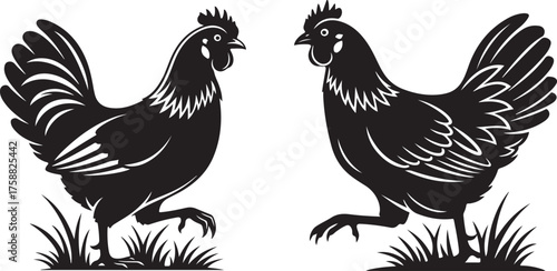 Two detailed black roosters silhouettes standing in textured grass farm poultry rustic design vector