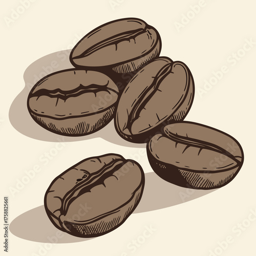 Illustration of a pile of coffee beans