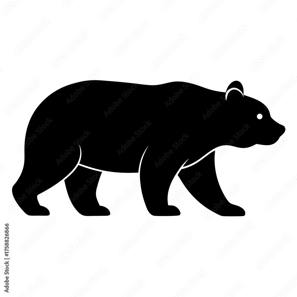 Fototapeta premium Silhouette of a black bear walking