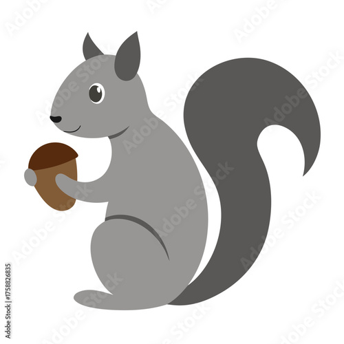 Cute squirrel holding an acorn in vector format