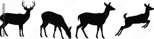 Black silhouette deer illustrations, grazing and leaping poses, wildlife sketch set, forest animal art, nature movement, ink style, outdoor design