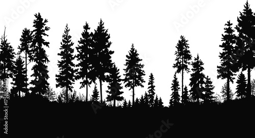 Black silhouette forest illustration, coniferous tree shapes, pine woodland art, nature landscape sketch, ink style, evergreen foliage, outdoor wilderness design