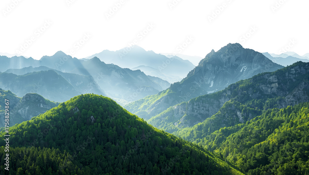 Obraz premium Majestic mountain range covered in verdant forests, with sunlight piercing through the misty peaks